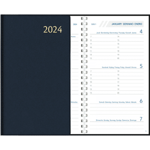 Agenda Visupplan 2024 perl - Blauw