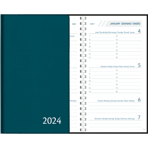 Agenda Visupplan 2024 perl - Blauwgroen