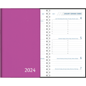 Agenda Visupplan 2024 perl - Purper